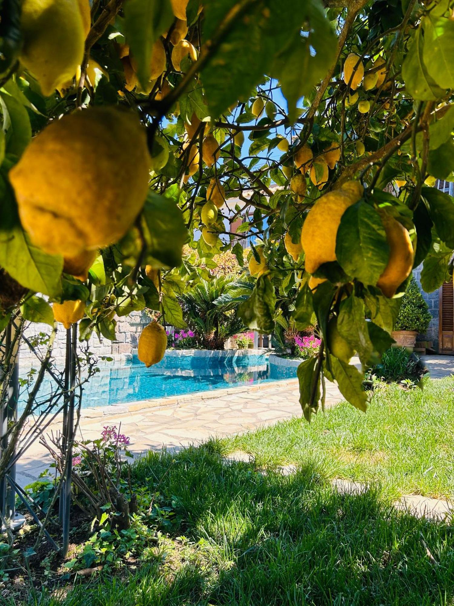 Maison Villa Angela Sant'Agata sui due Golfi Bagian luar foto