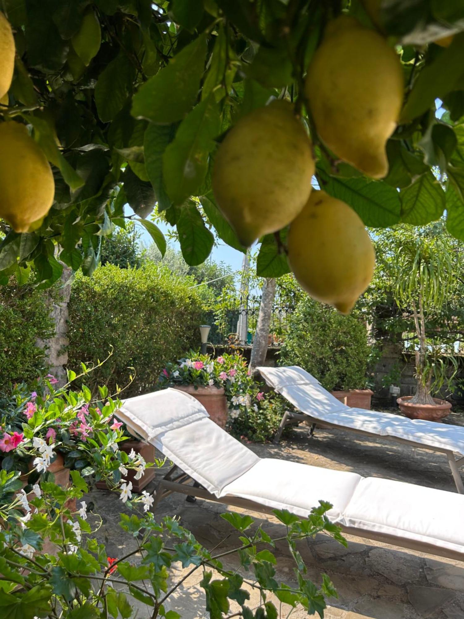 Maison Villa Angela Sant'Agata sui due Golfi Bagian luar foto